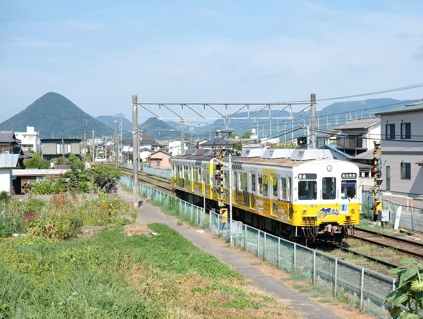 おはようございます